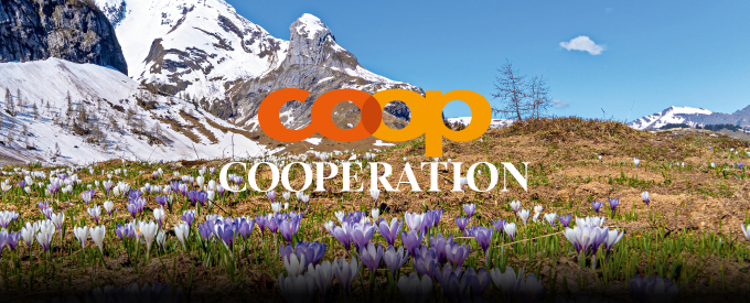 Headerbild Coopération Desktop